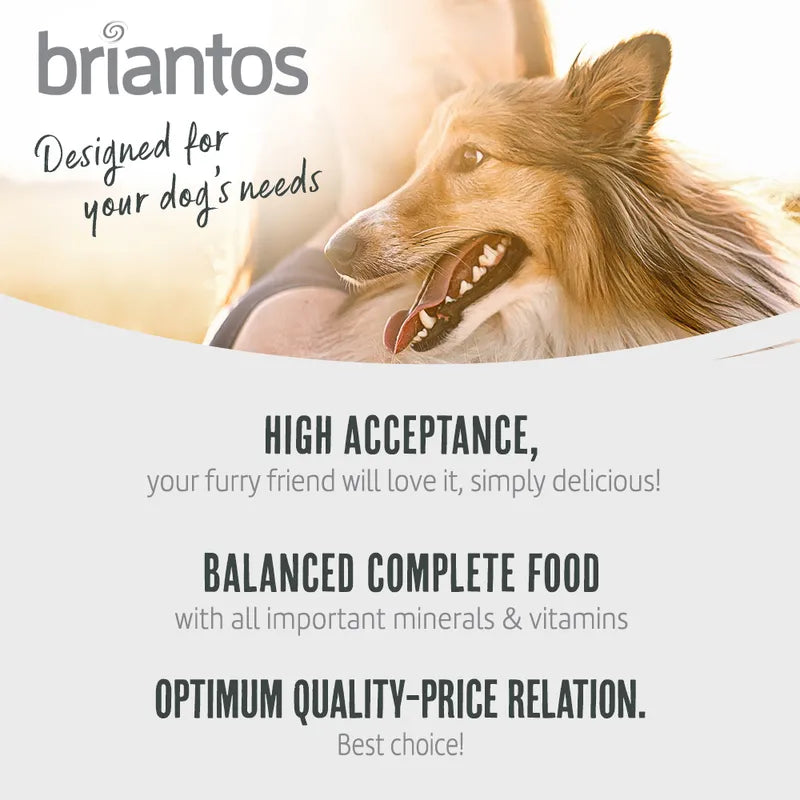 Briantos Dry Dog Food Medium Adult Salmon and Rice Shiny Coat Tolerance 14kg