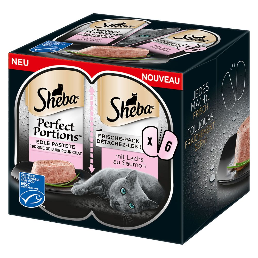Sheba Perfect Portions Adult Wet Cat Food Trays Turkey in Gravy (2x37.5g)