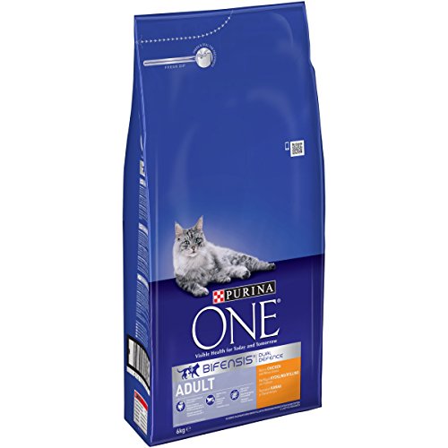 Purina ONE Adult Dry Cat Food Rich in Chicken 6kg