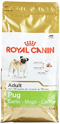RC Pug - 1.5KG