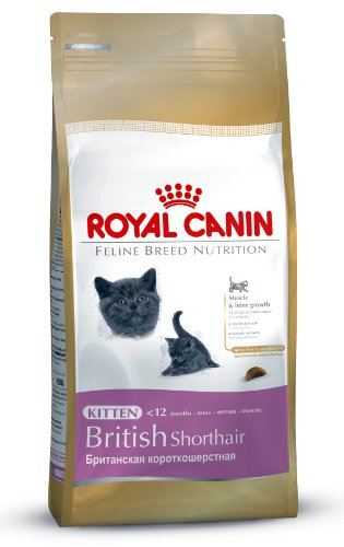 Royal Canin British Short Hair Kitten Food 2kg