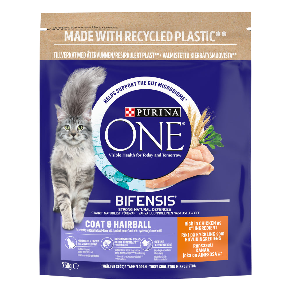 Purina ONE Adult Dry Cat Food Coat & Hairball, Rich in Chicken 750g