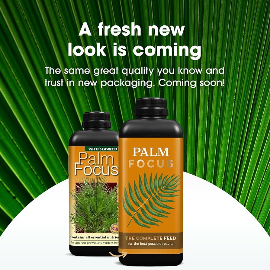 Palm Focus| The Complete Feed| 1L