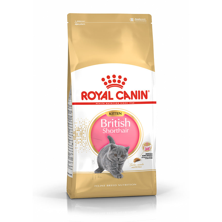 Royal Canin| British Shorthair Kitten- 2kg