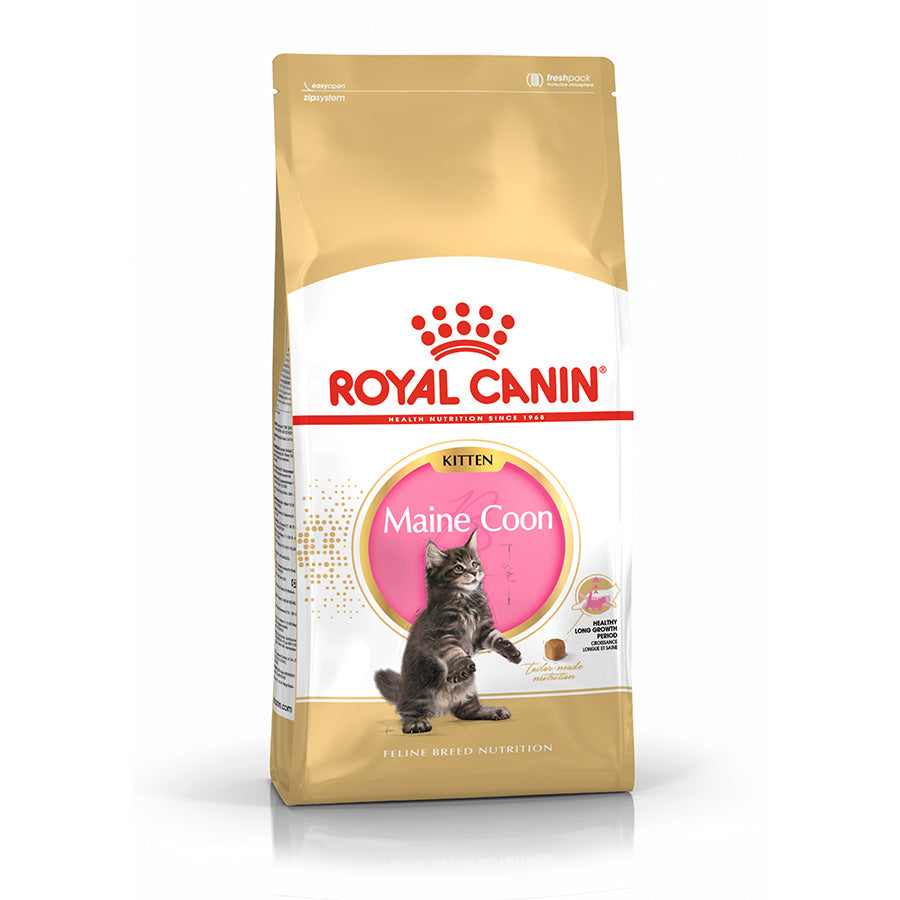 Royal Canin | Kitten Maine Coon | 4kg