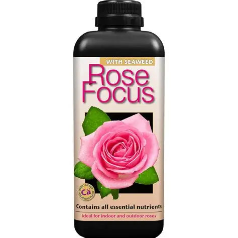 Growth Technology| Rose Focus|1L