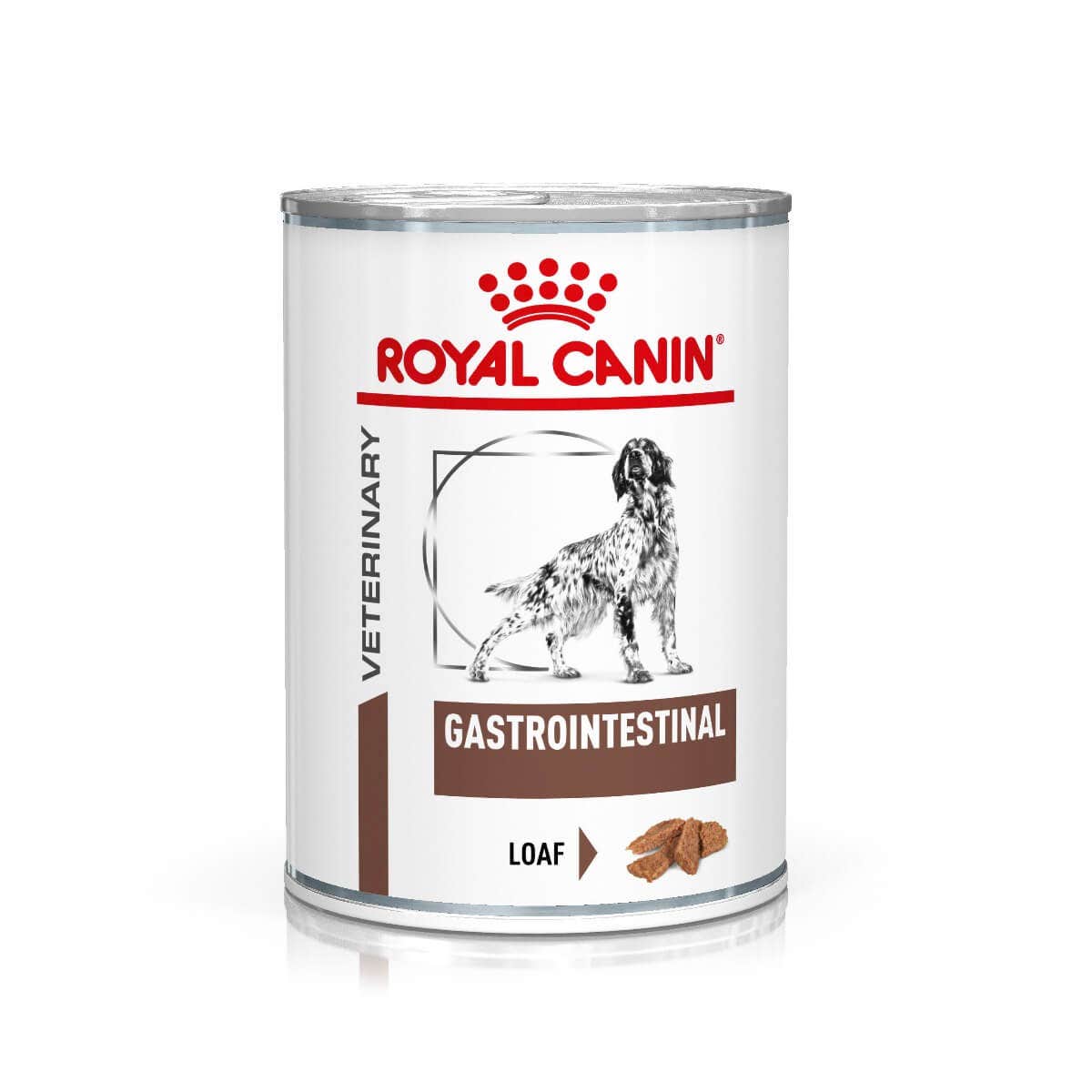 ROYAL CANIN Gastrointestinal Wet Dog Food Loaf - 12 x 400g