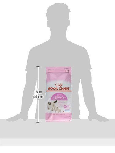 Royal Canin Mother & Babycat Adult & Kitten Dry Food, 2kg