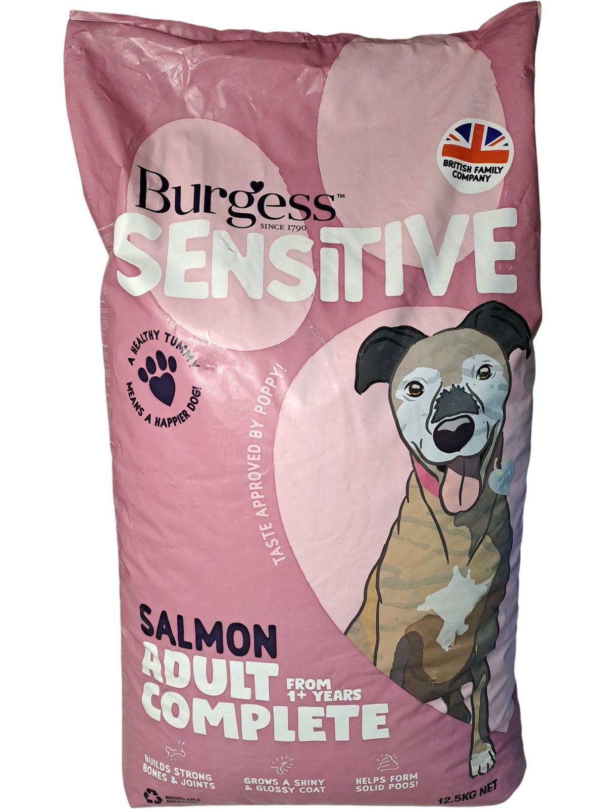 Burgess | Sensitive Adult Complete Dog Food | Salmon | 12.5KG
