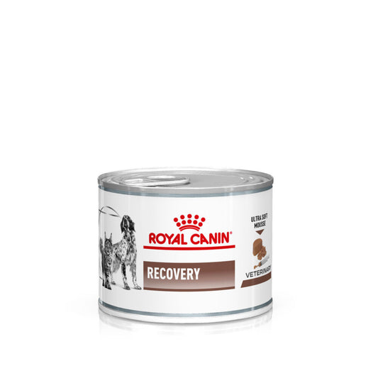 Royal Canin| Cat & Dog Recovery- Ultra Soft Mousse- 12x195g