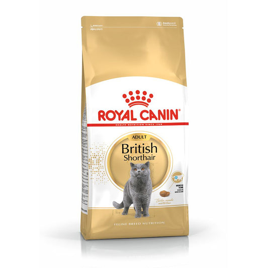 Royal Canin| Adult Cat Dry- British Shorthair- Breed Nutrition- 10kg