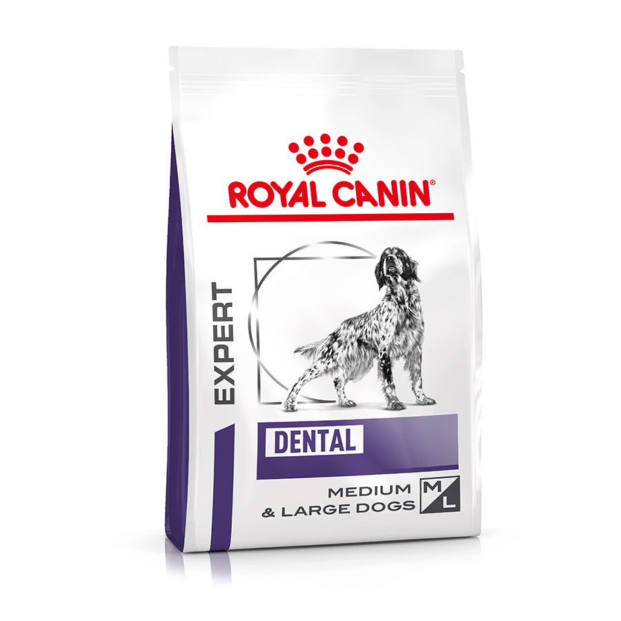 Royal Canin Expert | Dental | M/L Dogs | 6kg