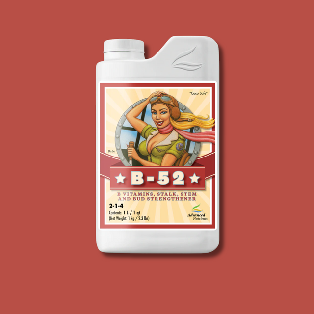 Advanced Nutrients| B-52| 1kg