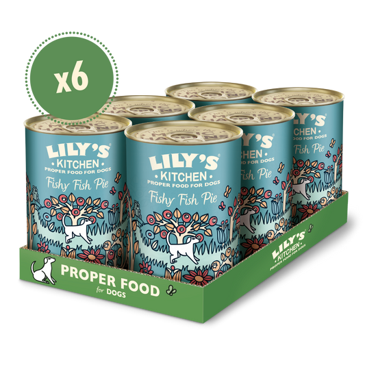 Lily's Kitchen | Fishy Fish Pie | 6x600g