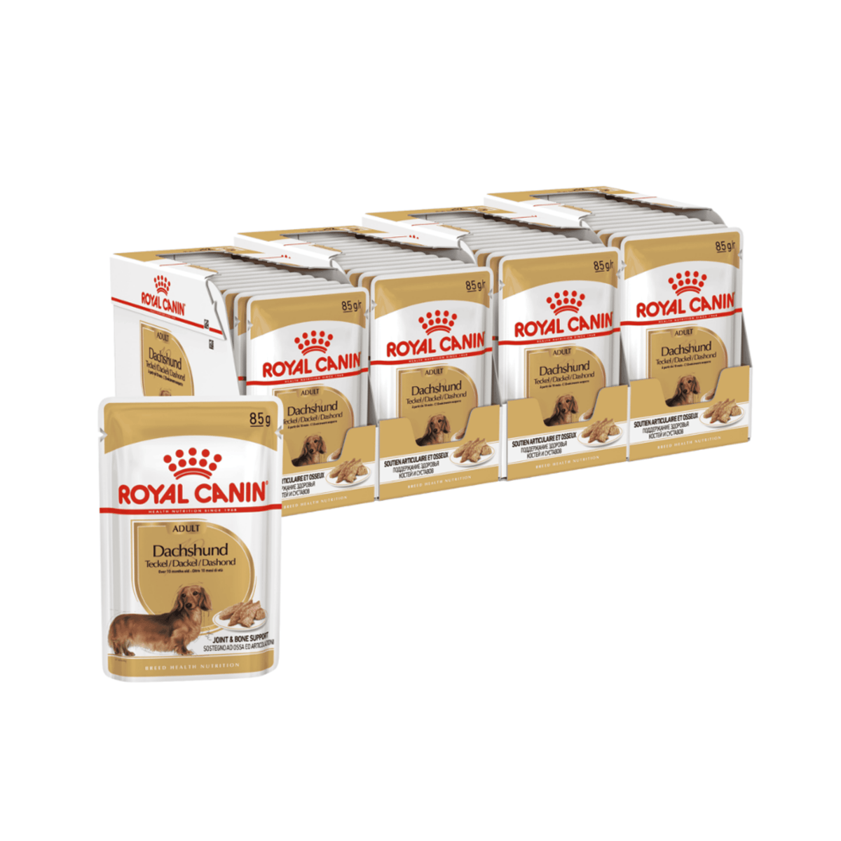 Royal Canin | Adult Dachshund | 48x85g