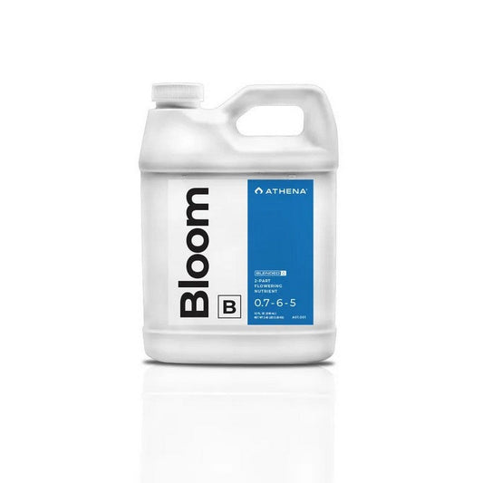 Athena| Bloom- Part B- 5L