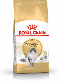 Royal Canin | Adult Norwegian Forest Cat | 10kg