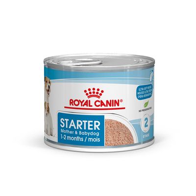 Royal Canin Starter Mousse Mother & Babydog - 12 X 195g